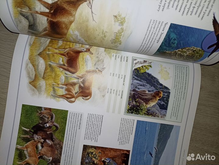 Иллюстрированный атлас