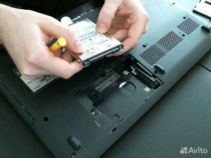 Системный администратор