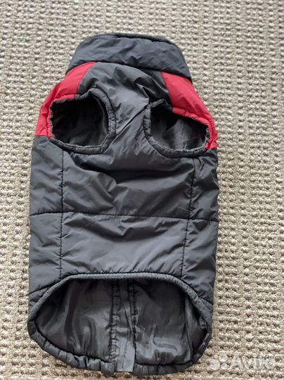 Одежда для собак