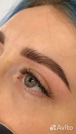 Работа master бровист