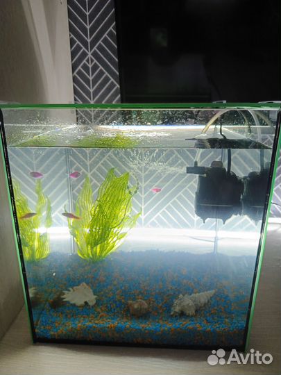Аквариум
