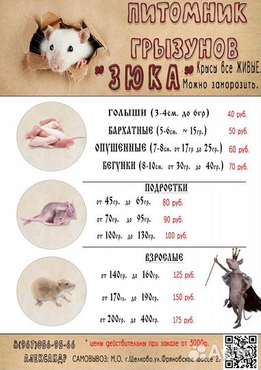 Крысы на корм