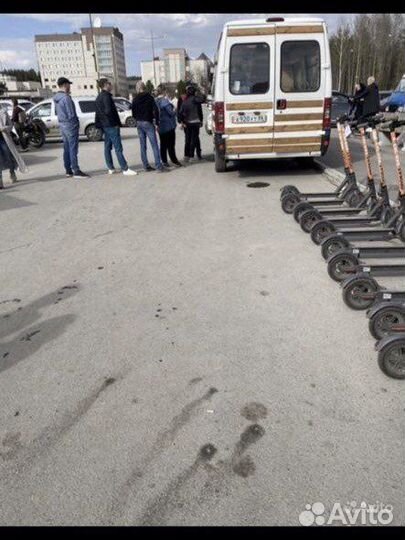 Прокат самокатов и кофейня