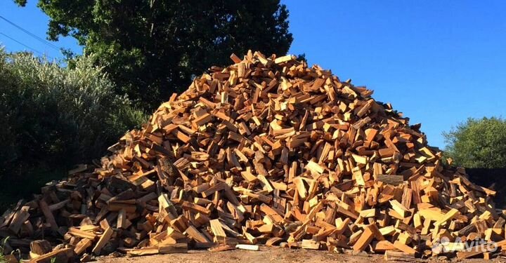 Дрова сегодня