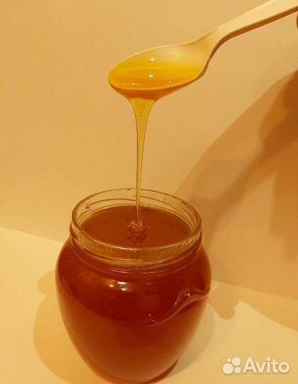 Мед луговой