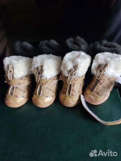 Сапоги для собак мелкой породы