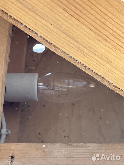 Инкубатор для перепелов