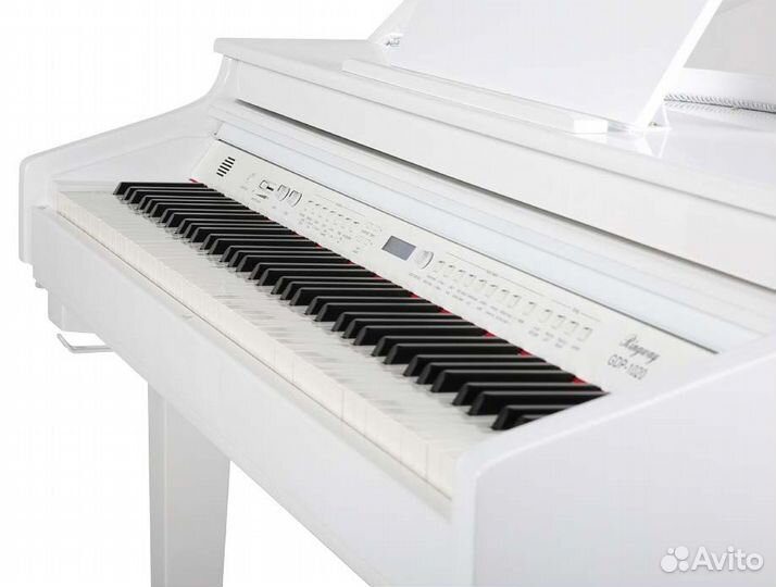 Пианино от 20000 и Ringway GDP-1120 Рояль цифровой