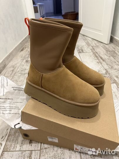 Сапоги Ugg