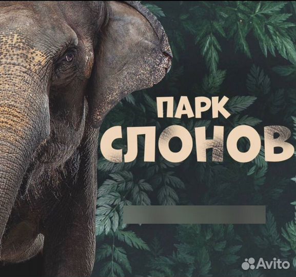 Парк слонов экскурсия