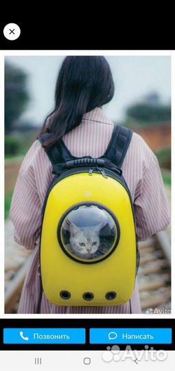 Рюкзак для кота с иллюминатором