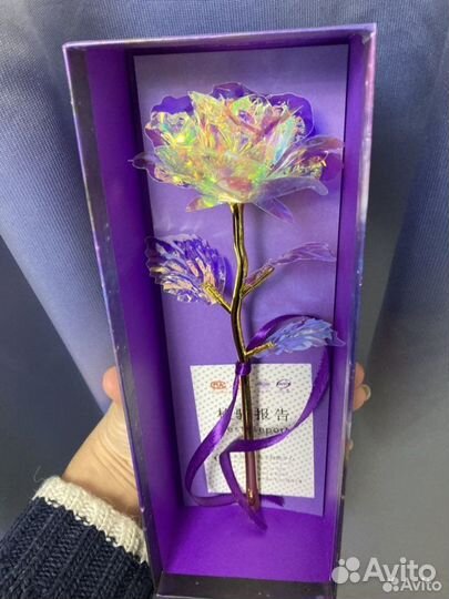 Вечная роза переливается и светится