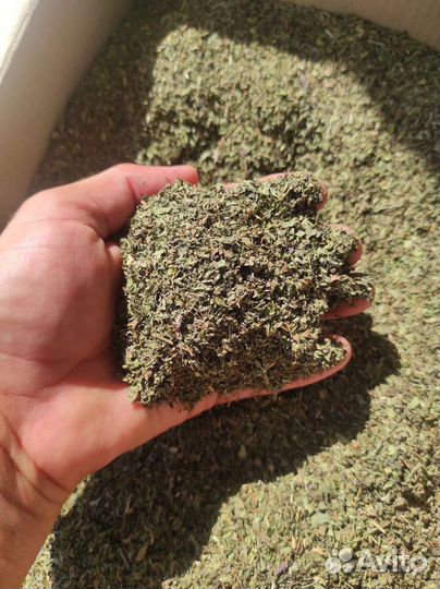 Сухоцветы, лаванда, базилик, шалфей, мята перечная