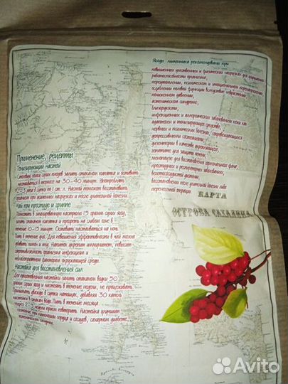 Лимонник дальневосточный