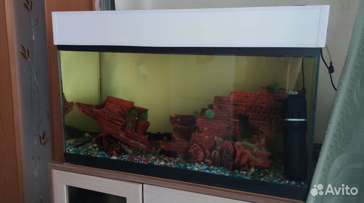 Аквариум