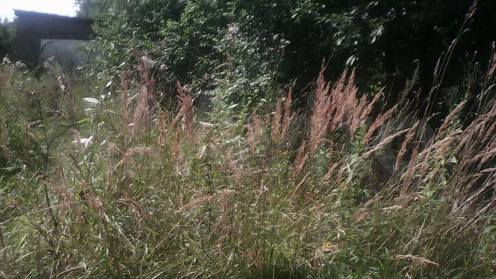 Участок 11 сот. (ИЖС)