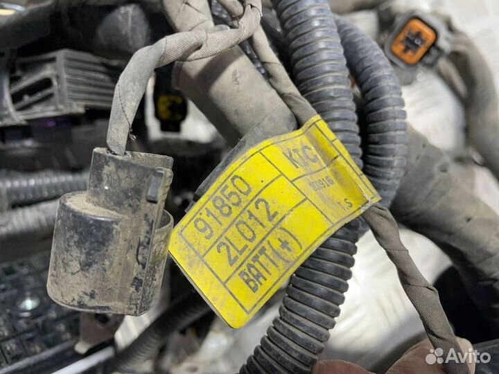 Проводка двс Hyundai Elantra