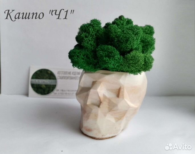 Кашпо со мхом