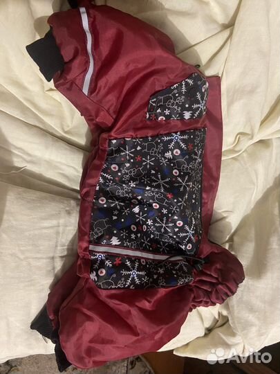 Одежда для собак