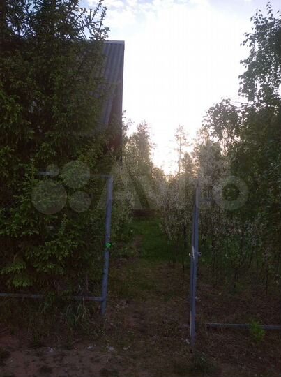 Дом 50 м² на участке 12 сот.