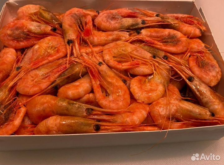 Креветка северная. Промфлот. Опт