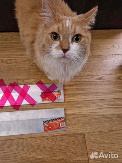 Правило 2 метра