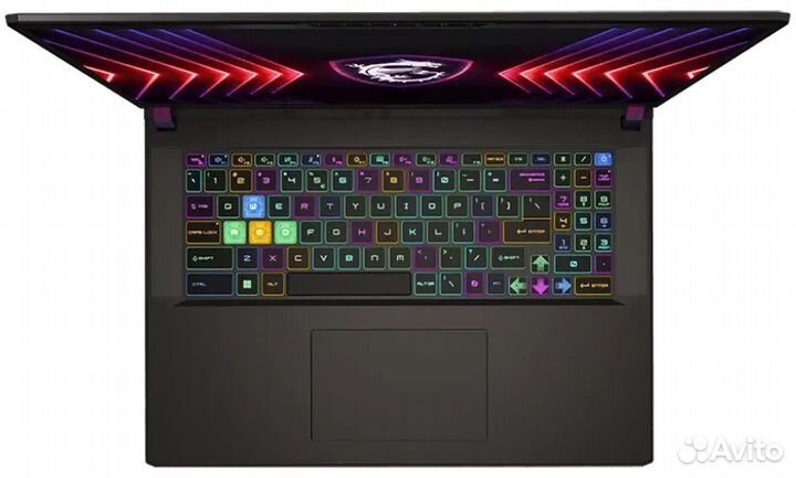 MSI vector 17HX (2024)