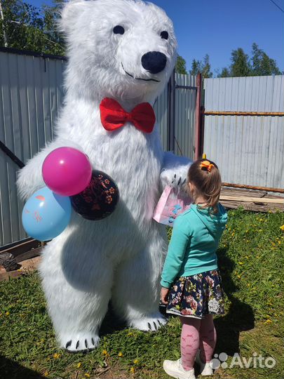 Поздравление от белого медведя