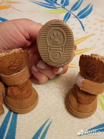 Обувь для маленьких собак