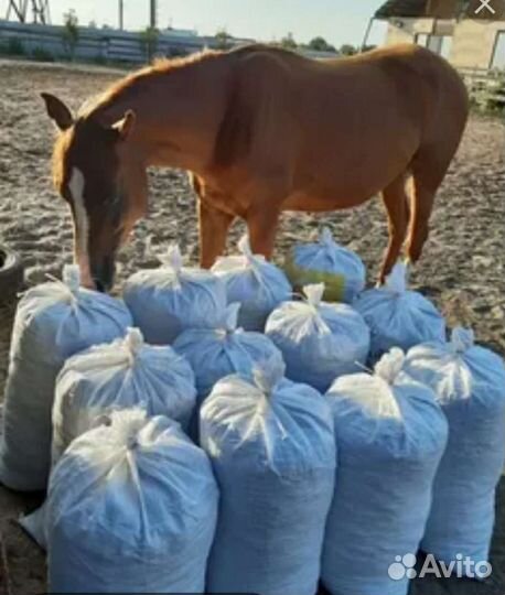 Конский навоз