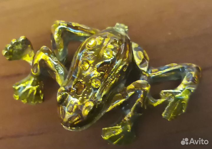 Лягушка на магнитах