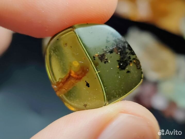 Доминиканский янтарь