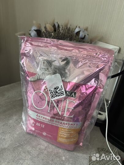 Корм для кошек purina one 750 г