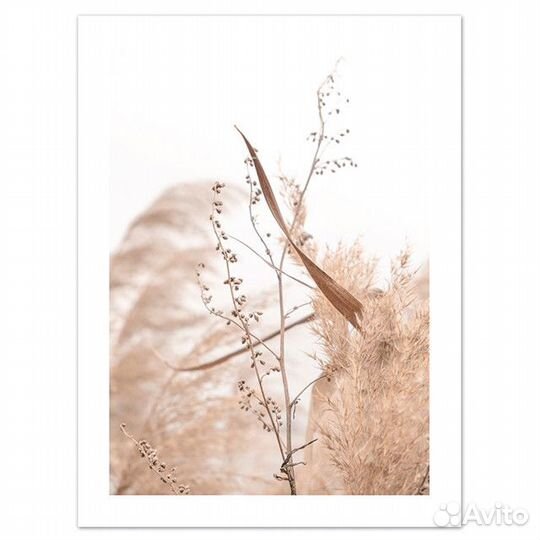 Репродукция сухой тростник, 300х400мм, бумага