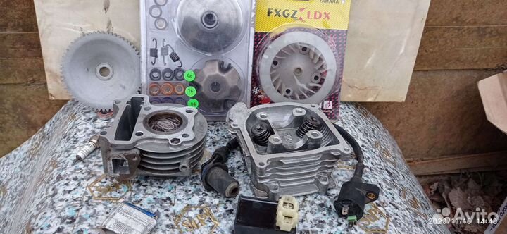 Ирбис центрино