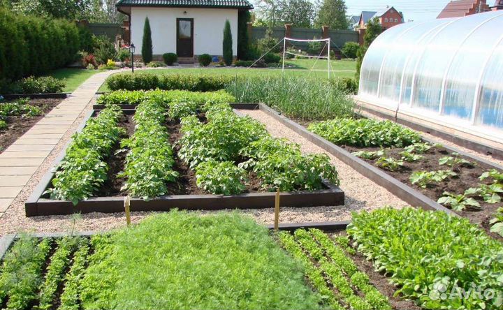 Удобрения переработано дождевыми червями