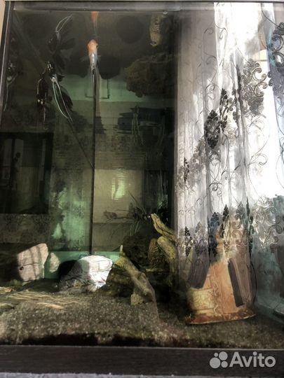 Аквариум 350л