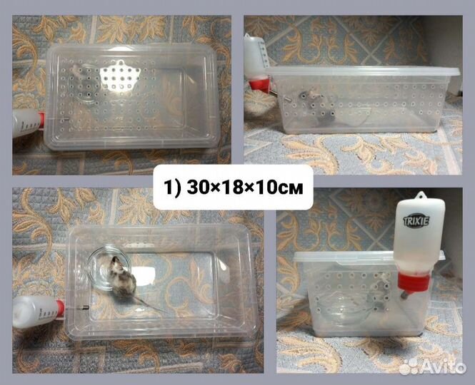 Террариум для грызунов