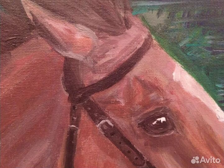 Картина скачки портрет лошадь