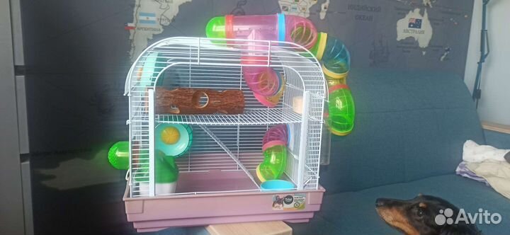 Клетка для хомяка