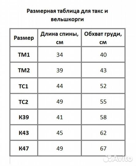 Зимний комбинезон для таксы (девочка)