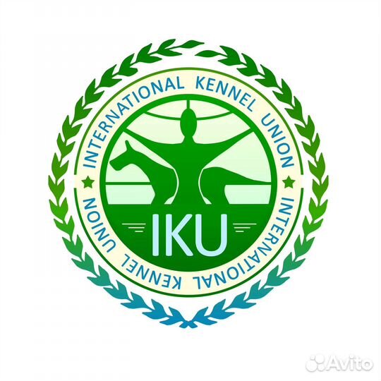 Мотопом скор кинологический клуб