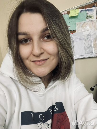 Репетитор по информатике