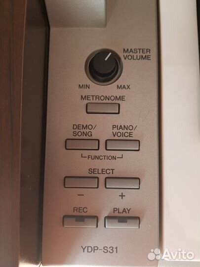 Цифровое пианино yamaha YDP-S31 arius
