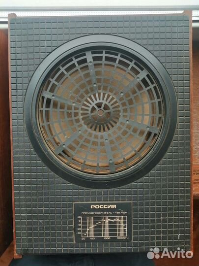 Акустика Россия