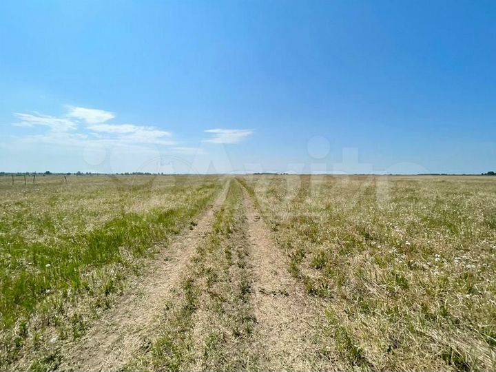 Участок 6,3 сот. (СНТ, ДНП)