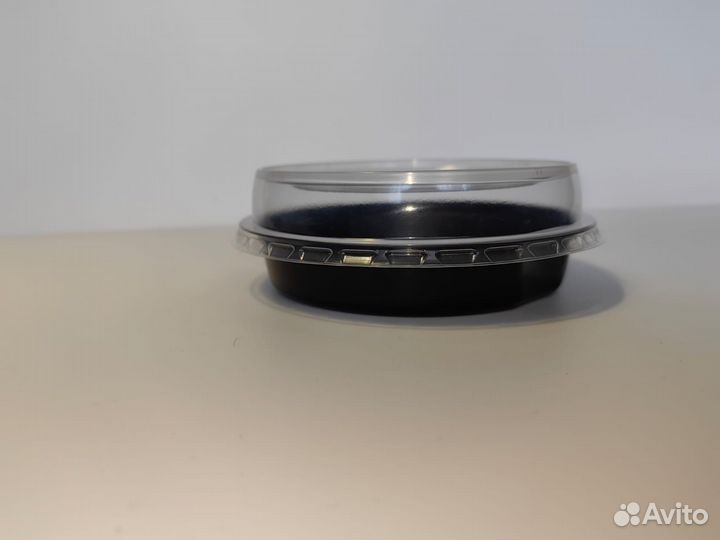 Контейнер для горячих и холодных блюд 250 мл