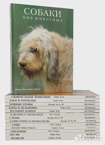 Книги альбомы Мир животных белфакс