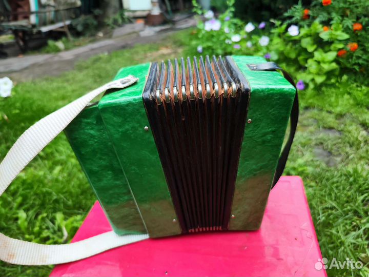 Гармонь детская