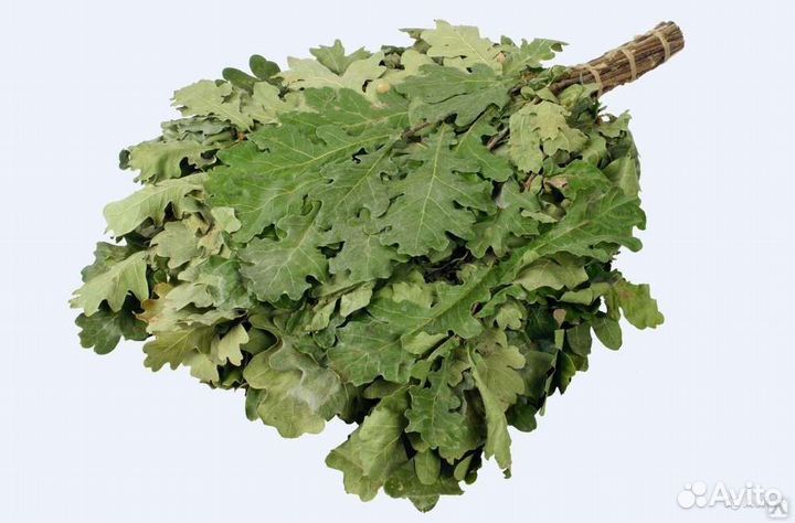 Веники для бани